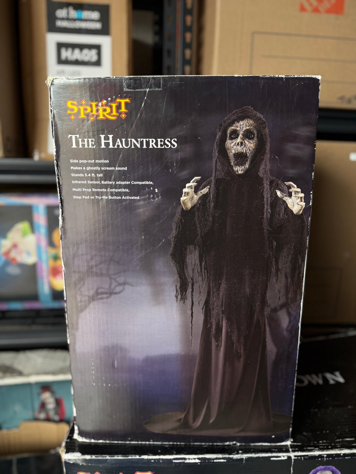 The Hauntress - Animatronic