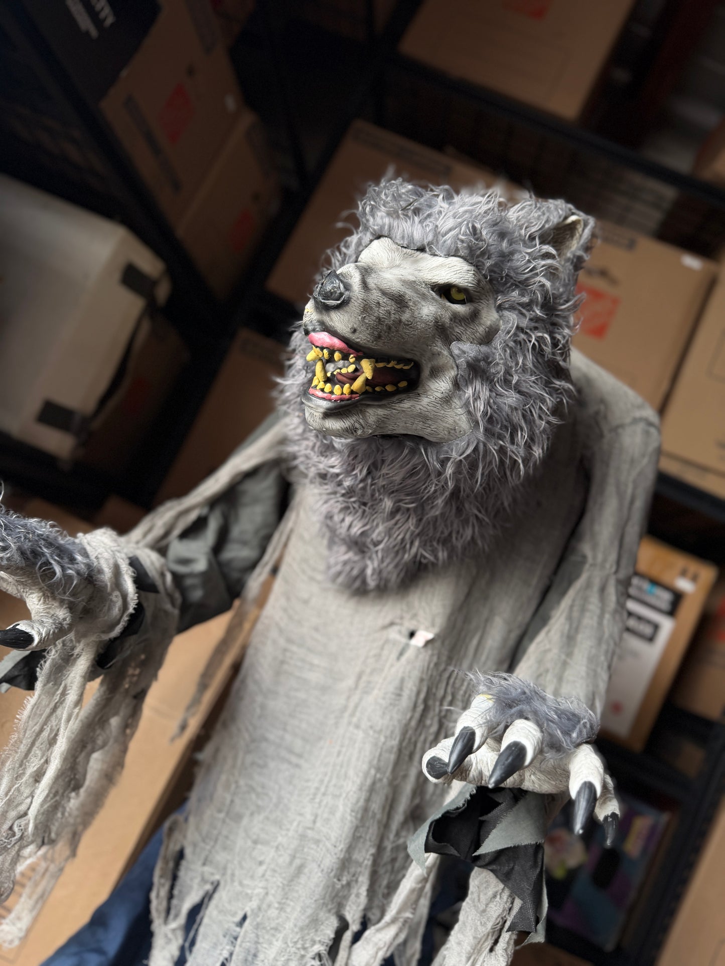 Towering Werewolf - Animatronic