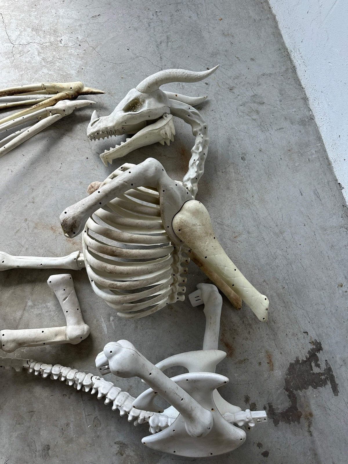Spirit Halloween Animated Animatronic Life Size Giant Dragon Skeleton PARTS