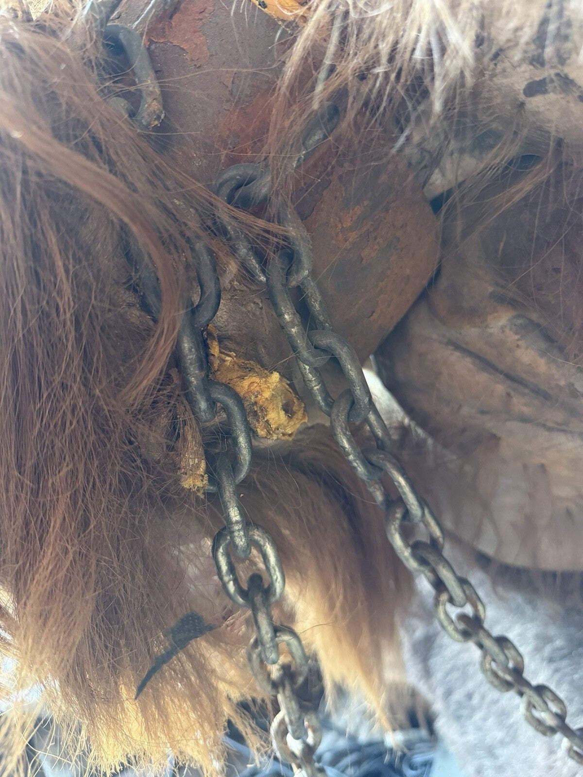 Halloween Animated Animatronic Life Size Pneumatic Rage Distortions Unlimited