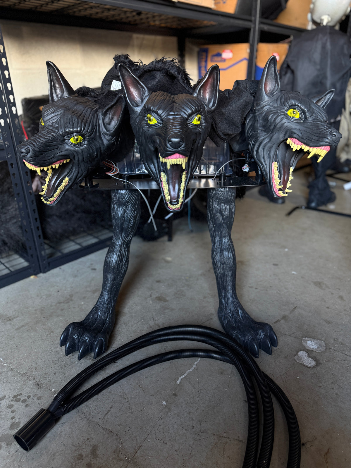 Cerberus (New Model) - Animatronic