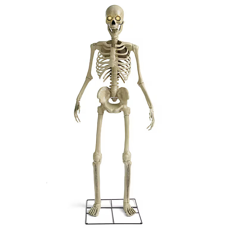 8ft Skeleton - Animatronic
