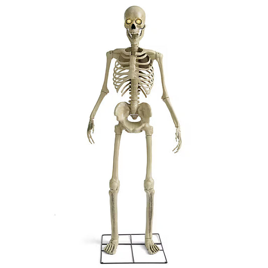 8ft Skeleton - Animatronic