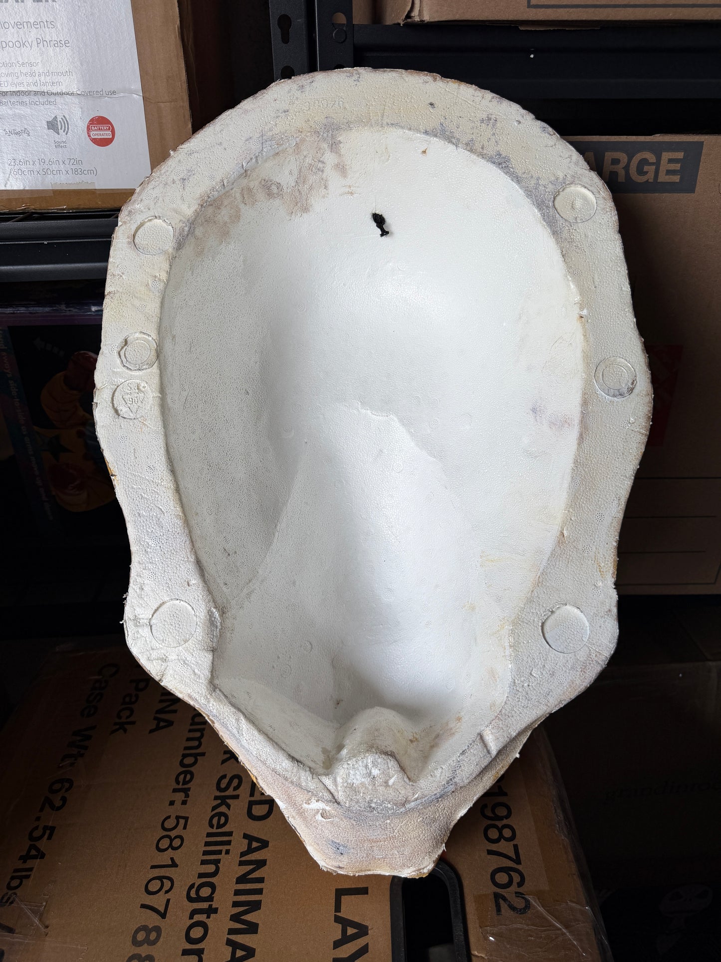 Giant Skeleton Head - Prop
